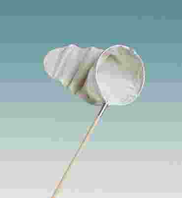 Standard Sweep Insect Net