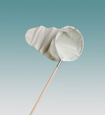 Standard Sweep Insect Net