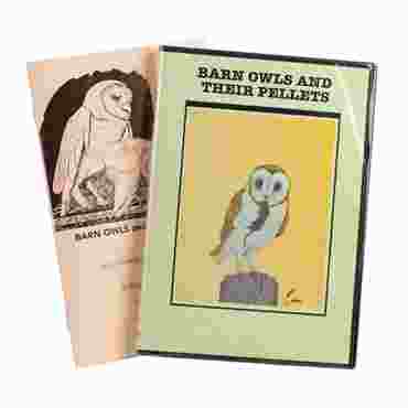 Owls and Their Pellets Booklet for Biology and Life Science