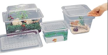 Aquarium or Terrarium Tank with Screen Cover, 0.5 Gallon