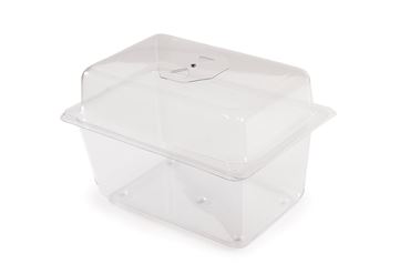 Aquarium or Terrarium Tank with Screen Cover, 0.5 Gallon