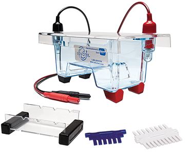 Electrophoresis Economy Apparatus