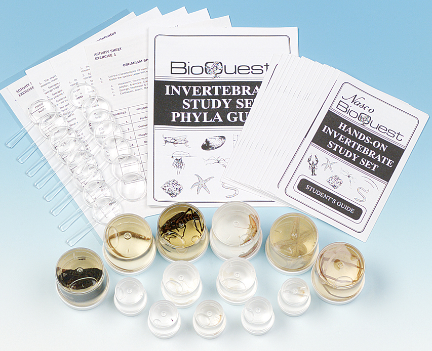 Combined Preserved Invertebrate and Vertebrate Survey and Study Kit for Biology and Life Science