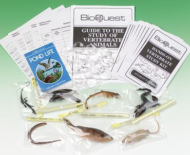 Preserved Vertebrate Survey and Study Set for Biology and Life Science