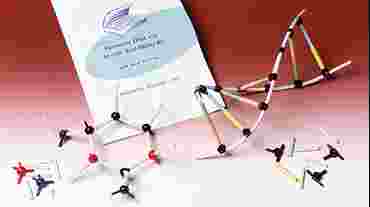 Individual DNA and Molecular Model Kit for Biology and Life Science