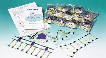 DNA and RNA Protein Synthesis Kit for Biology and Life Science