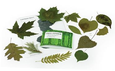 Leaf Identification Activity Kit for Biology and Life Science