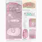 Female Reproductive System Chart for Anatomy Classroom