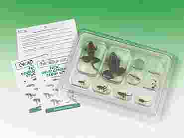 Frog Development Study Kit with Preserved Specimens for Biology and Life Science