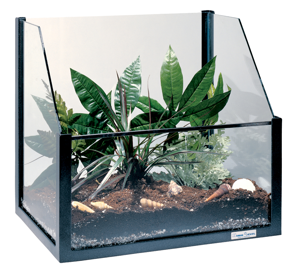 Heavy-Duty Terrarium for Biology and Life Science