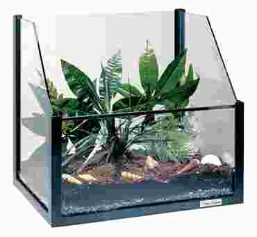 Heavy-Duty Terrarium for Biology and Life Science