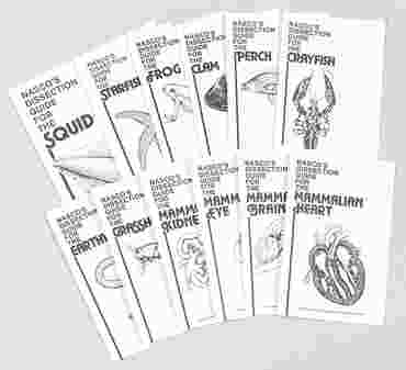Illustrated Dissection Guide for the Mammalian Heart for Biology and Life Science