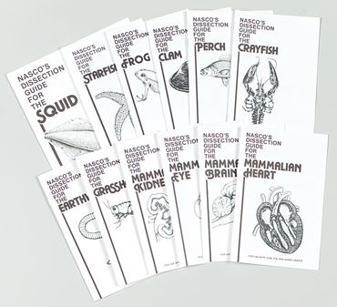 Illustrated Dissection Guide for the Mammalian Heart for Biology and Life Science