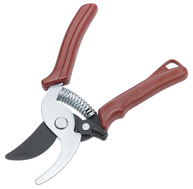Pruning Shears