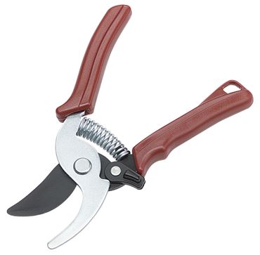 Pruning Shears