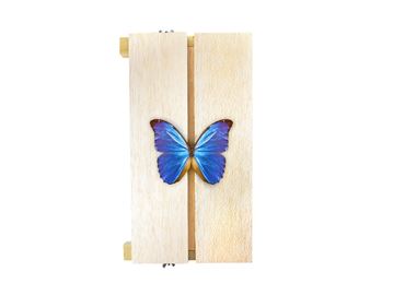 Adjustable Insect Spreading Board