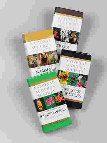 Eastern North American Wildflowers Field Guide for Biology and Life Science