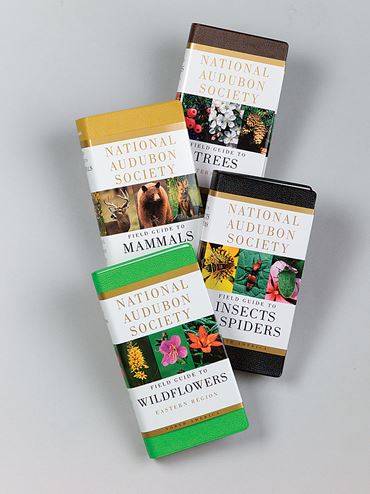 Eastern North American Wildflowers Field Guide for Biology and Life Science