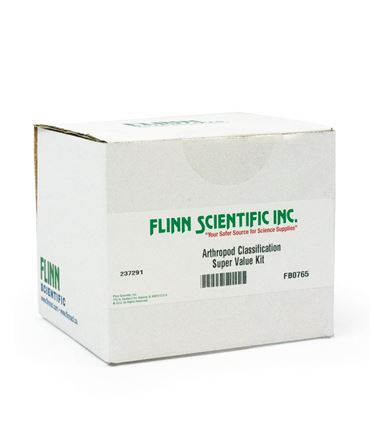 classification, characteristics, classify