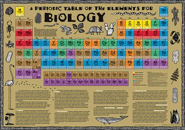 Biology Periodic Table Chart