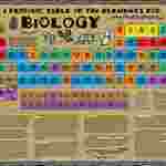 Biology Periodic Table Chart