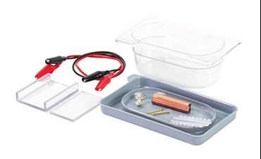 Flinn Economy Electrophoresis Equipment Kit