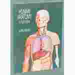 Human Anatomy in Full Color Visual Reference Book for Biology and Life Science