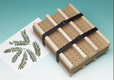 Flinn Plant Press for Biology and Life Science