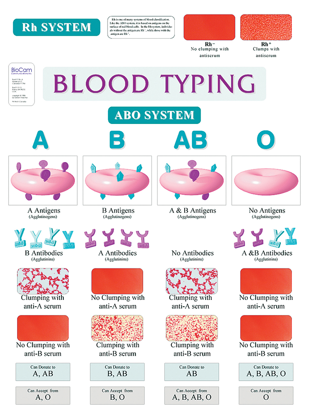 research on blood types