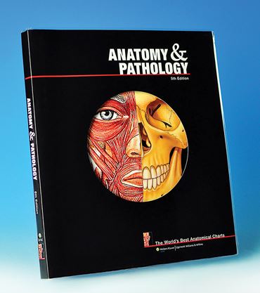 World's Best Anatomical Charts Book