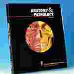 World's Best Anatomical Charts Book