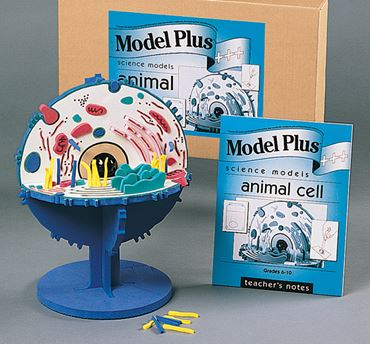 Animal Cell Model Kit for Biology and Life Science