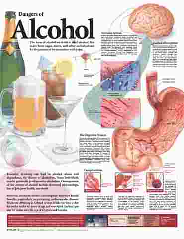 Dangers of Alcohol Chart