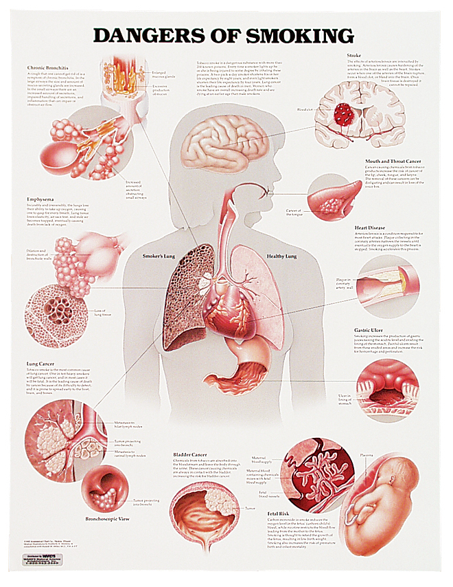 essay on the dangers of smoking