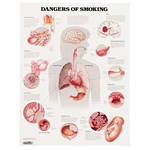 Dangers of Smoking Chart