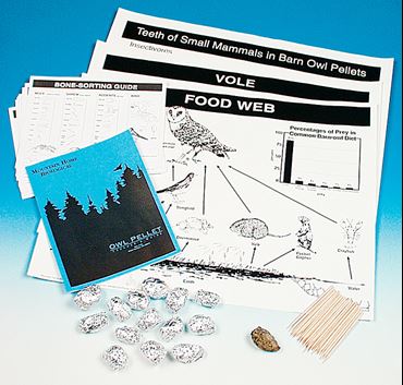 Owl Pellet Classroom Dissection and Activity Kit for Biology and Life Science