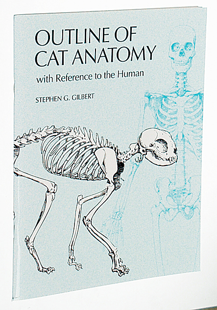 Outline of Cat Anatomy Dissection Guide for Biology and Life Science