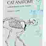 Outline of Cat Anatomy Dissection Guide for Biology and Life Science