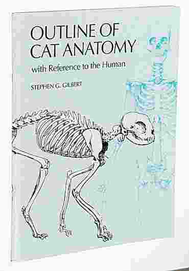 Outline of Cat Anatomy Dissection Guide for Biology and Life Science