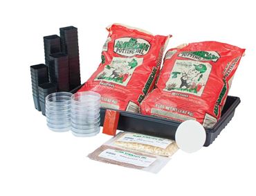 tropisms, gravitropism, phototropism