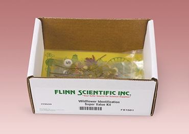 wildflowers, flowers, plants