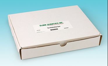 relationships, connections, chains, food chains