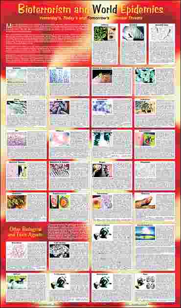 Bioterrorism and World Epidemics Poster