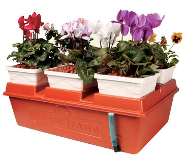 Hydroponics System for Biology and Life Science