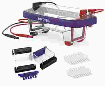 Dual Electrophoresis Apparatus