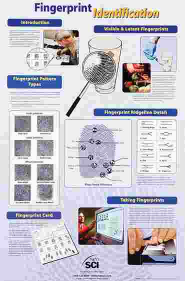 Fingerprint Identification Poster