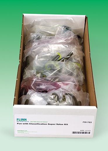 classification, taxonomy