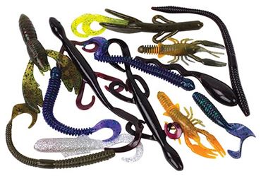 Fun with Classification Activity Kit for Biology and Life Science