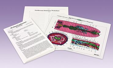 All About Earthworms! Animal Behavior Laboratory Kit for Biology and Life Science