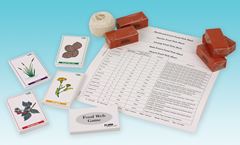 How a Food Web is Formed - Biology and Life Science Game